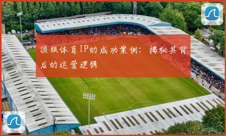 顶级体育IP的成功案例：揭秘其背后的运营逻辑